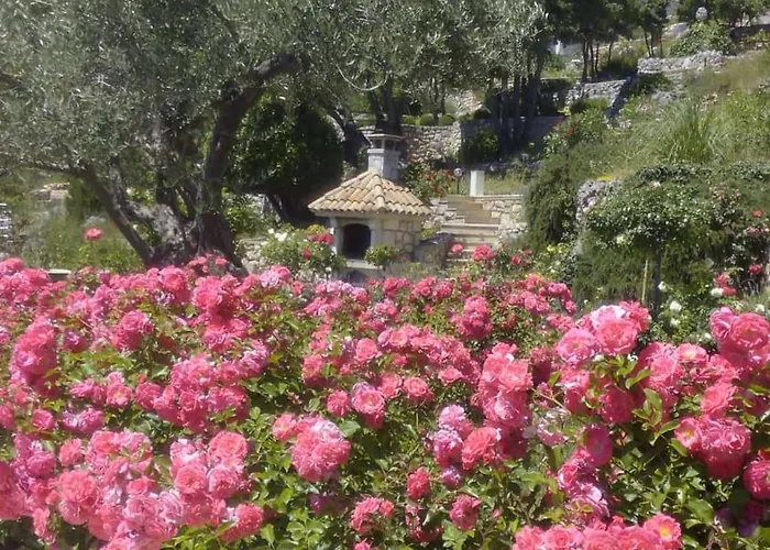 Piccolo Paradiso Vakantiehuis